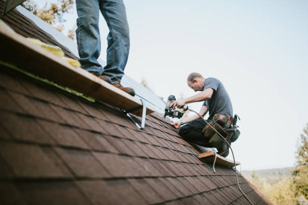 Quick and Trustworthy Emergency Roof Repair Services in New Madrid, MO